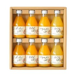Ito Noen Wakayama Orange Juice Set of 8