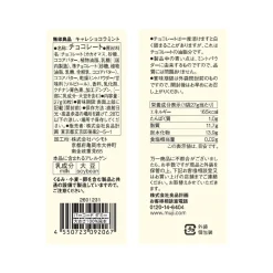 Muji Carre Chocolate Mint Squares