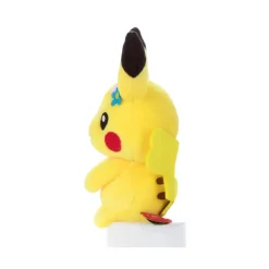 Pokemon Chokkorisan: Pikachu