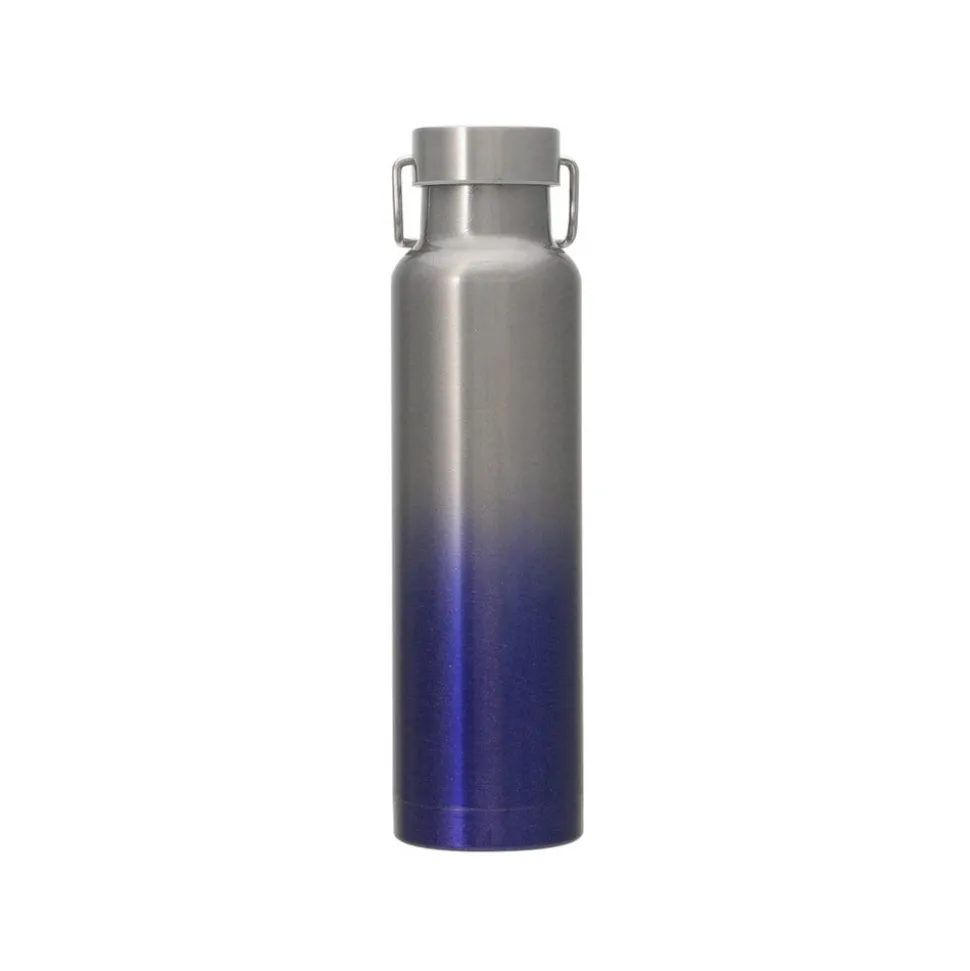 Starbucks Japan 2024 Handle Lid Bottle Gradient